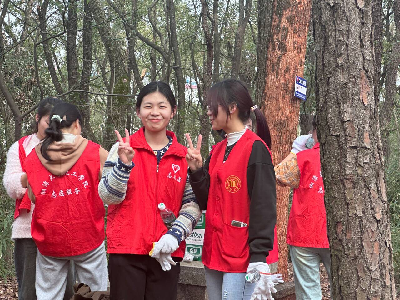 bevictor伟德官网