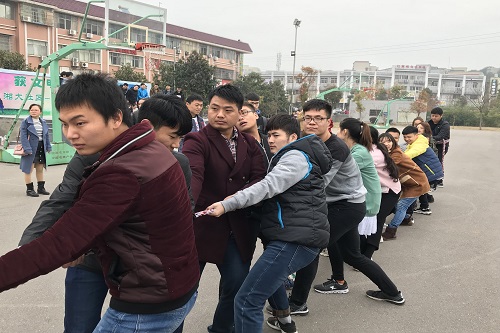 bevictor伟德官网